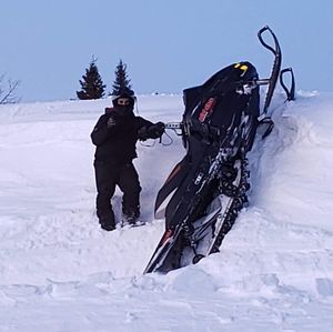 Meet your Posher, Tommy